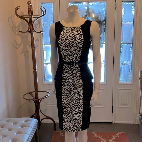 Frank Lyman Design Dresses & Skirts - Frank Lyman Dress